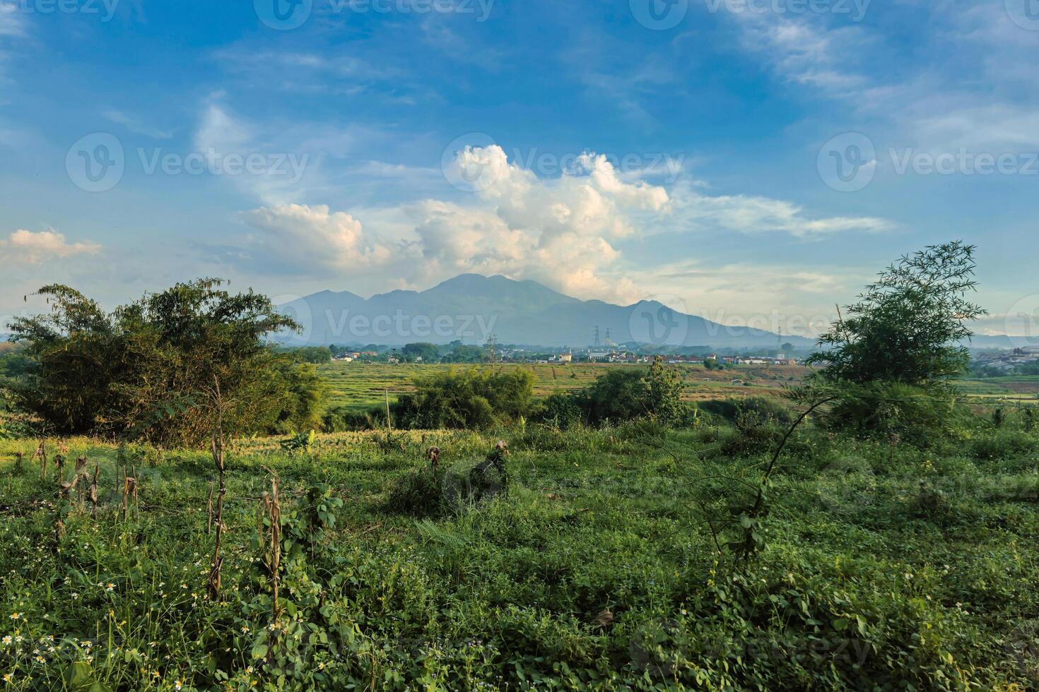 Beautiful panorama of the mountain from a distance with a large grassy area in the foreground. Landscape view of a mountain with a cloudy blue sky and green grass and trees in the foreground photo