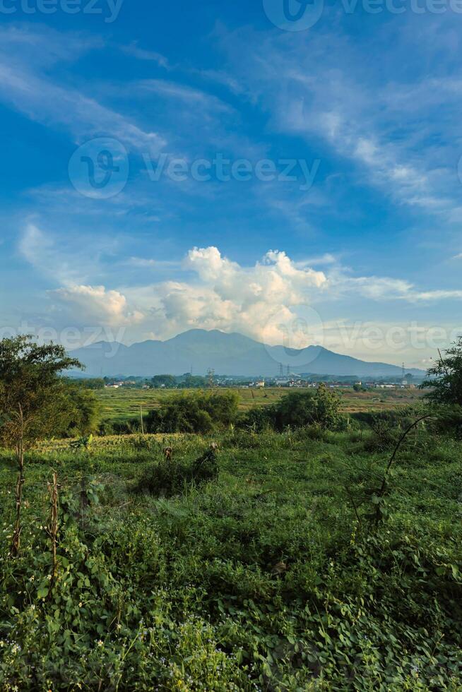 Beautiful panorama of the mountain from a distance with a large grassy area in the foreground. Landscape view of a mountain with a cloudy blue sky and green grass and trees in the foreground photo