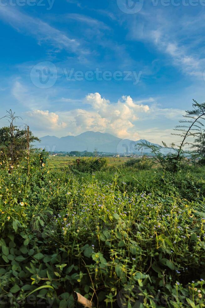 Beautiful panorama of the mountain from a distance with a large grassy area in the foreground. Landscape view of a mountain with a cloudy blue sky and green grass and trees in the foreground photo