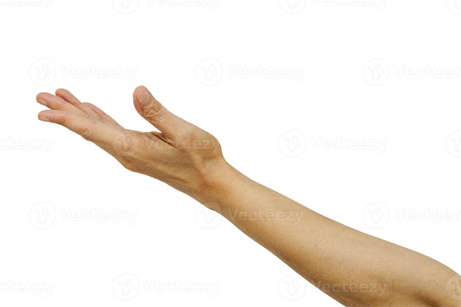 Beautiful Asian woman arm and hand human body isolated on white background. photo