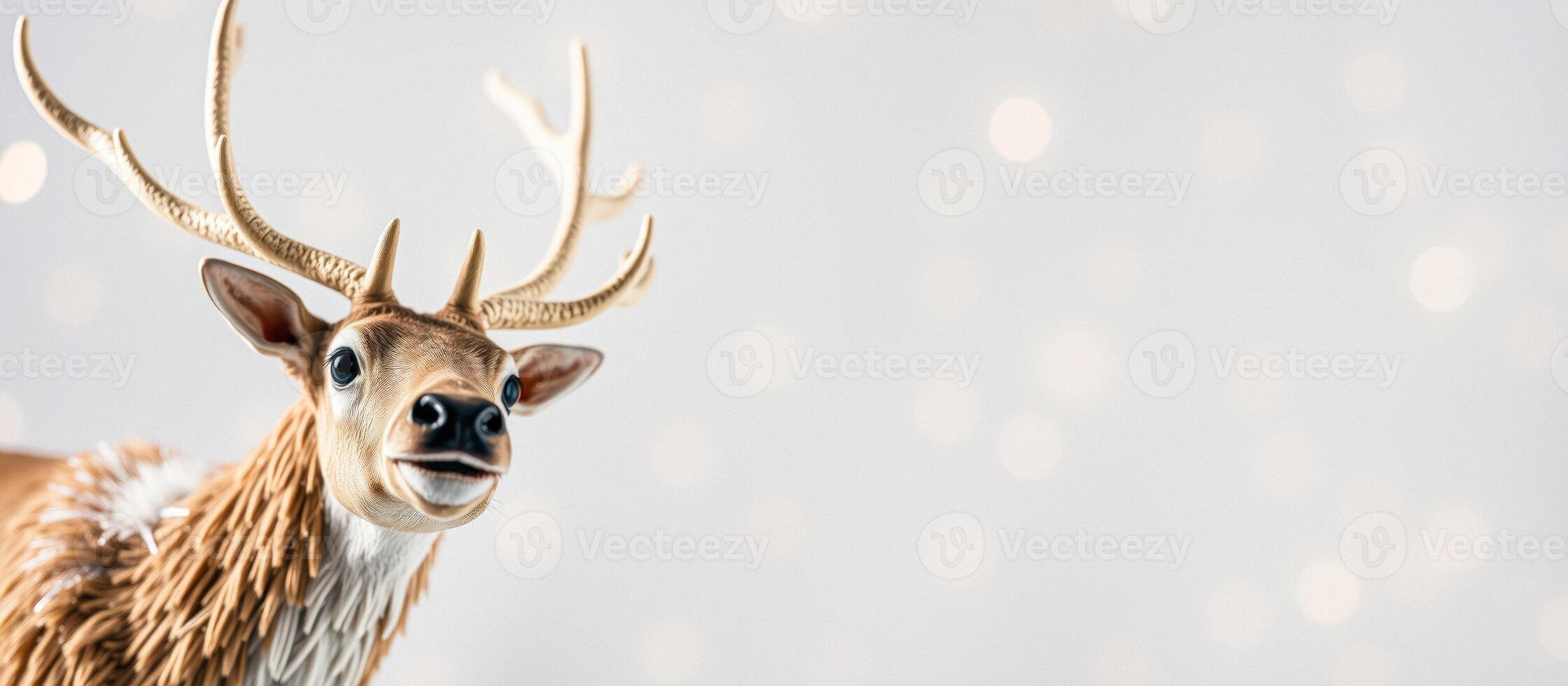 Close Up of a Curious Reindeer photo