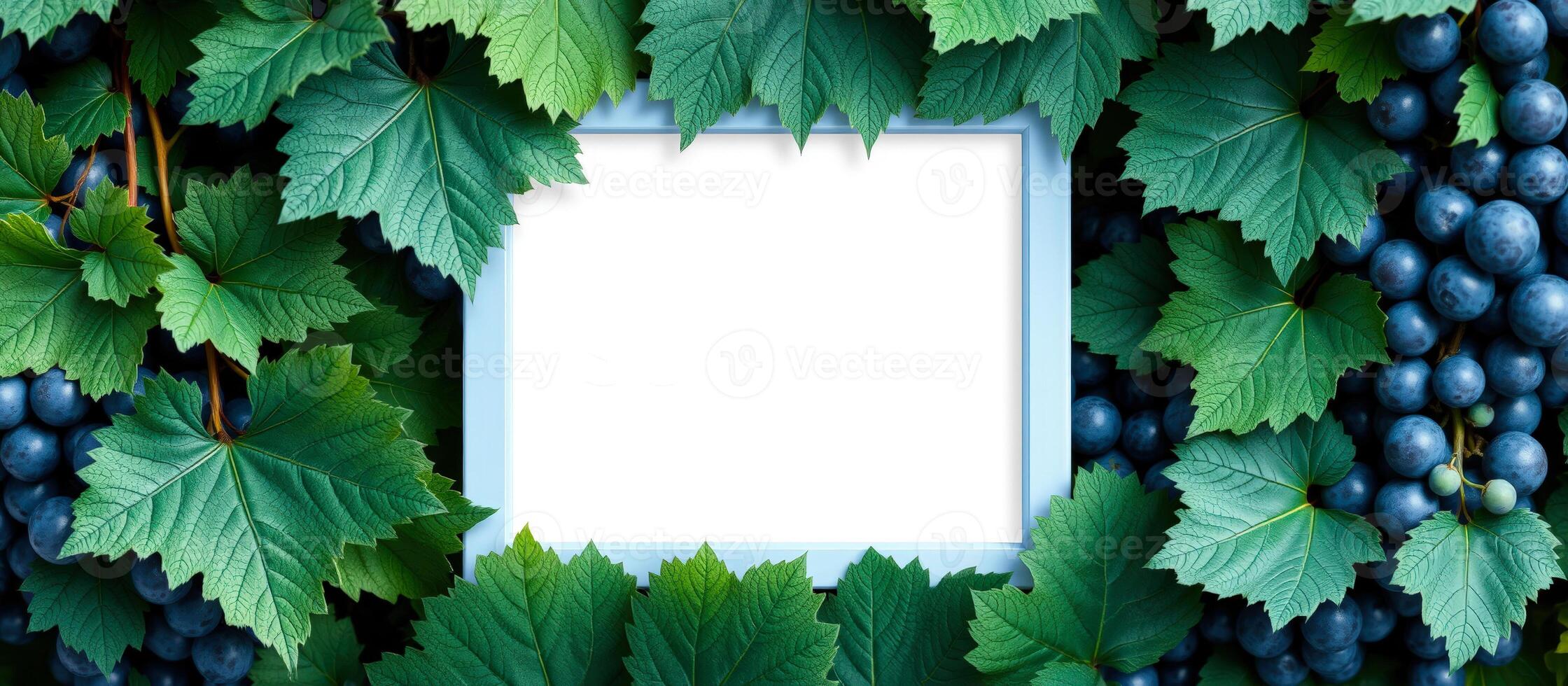 Blue Grapes and Green Leaves with a Blue Frame photo