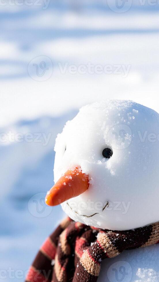 Close Up of Snowman's Face photo