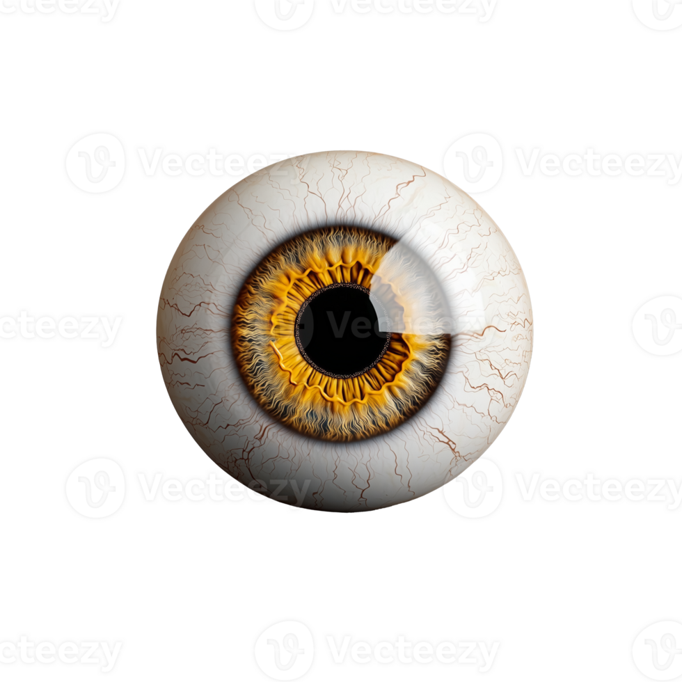 Eye illustration with detailed iris design on transparent background png