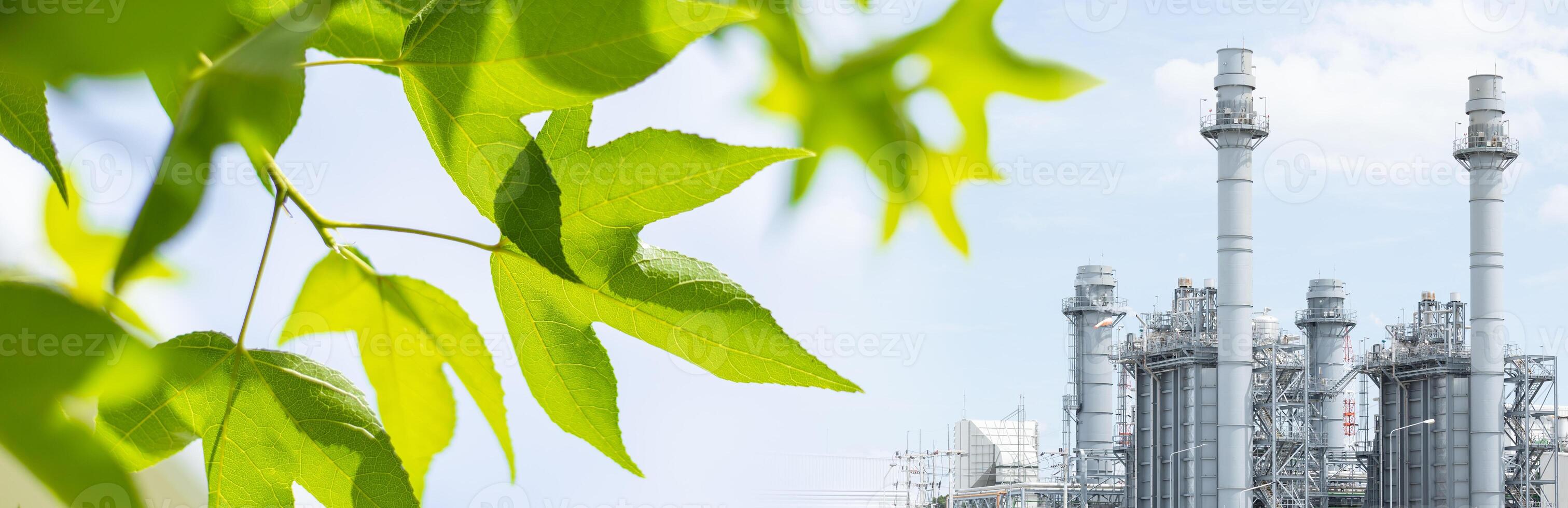 Green leaf plant tree with Industry Power Factory for Modern Eco Saving Environment, Low pollution and Carbon footprint wide for banner background. photo