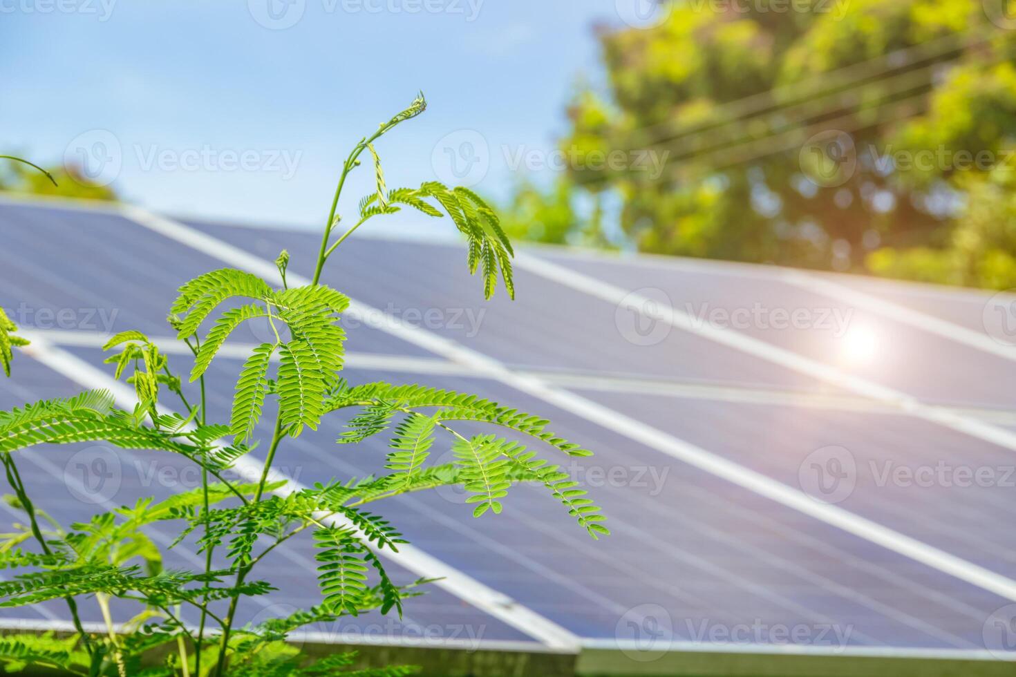 de cerca solar panel con verde ecología planta árbol soleado azul cielo. eco poder limpiar energía para naturaleza ahorros ambiente tecnología concepto. foto