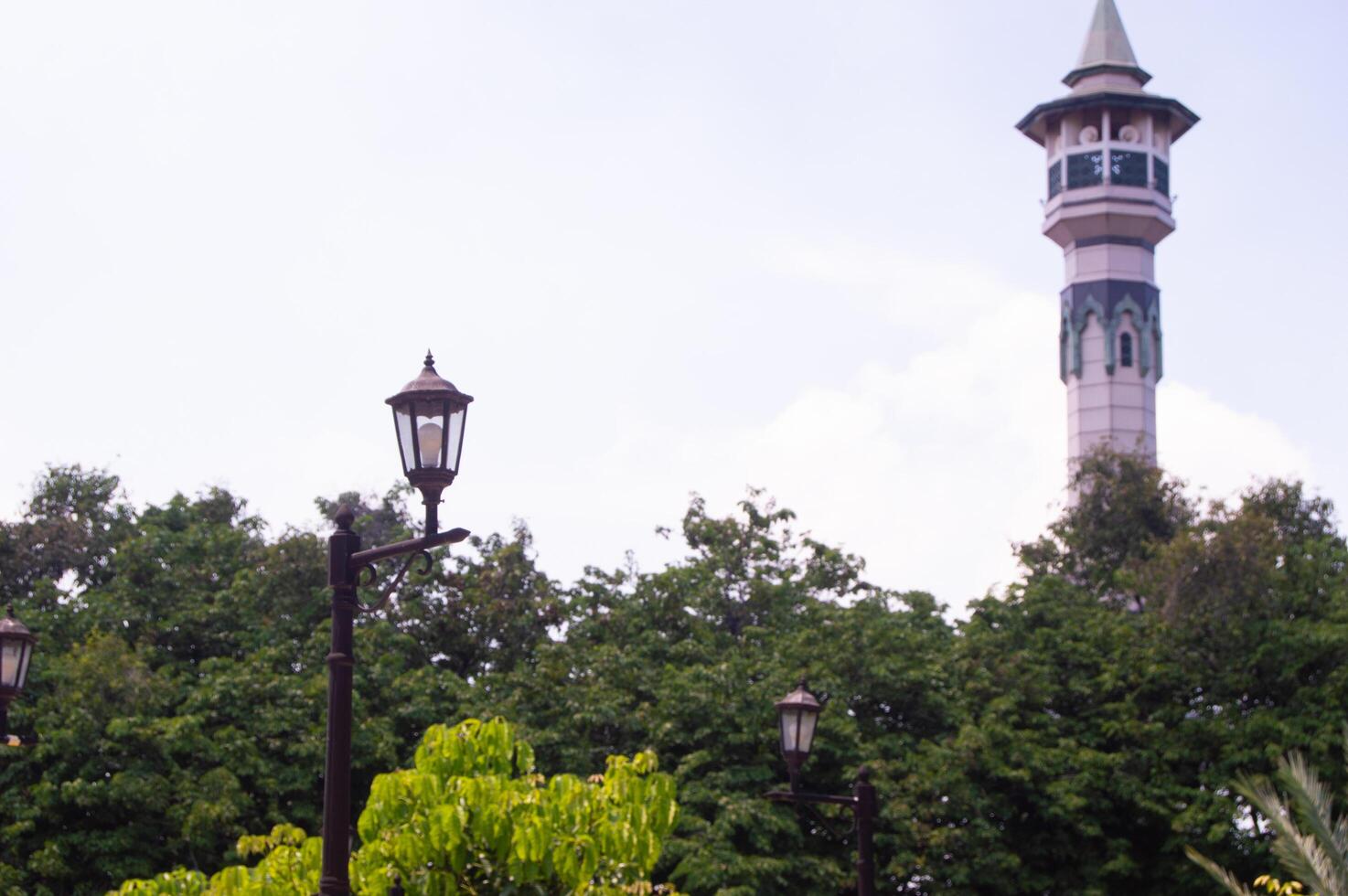 tower building surrounded by shady trees photo
