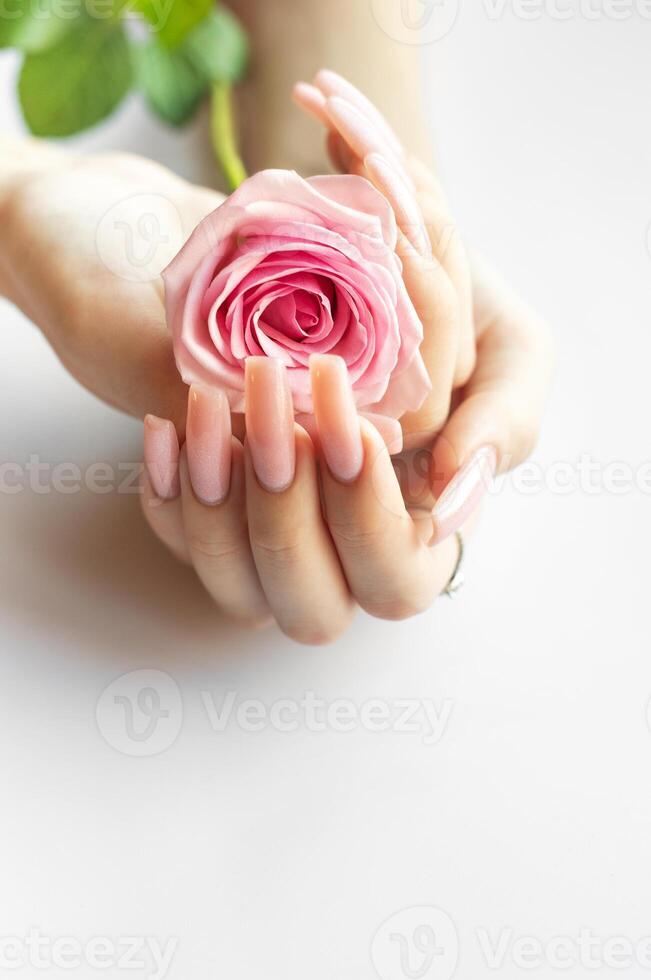 A person with long pink nails gently holding a soft pink rose against a light background photo