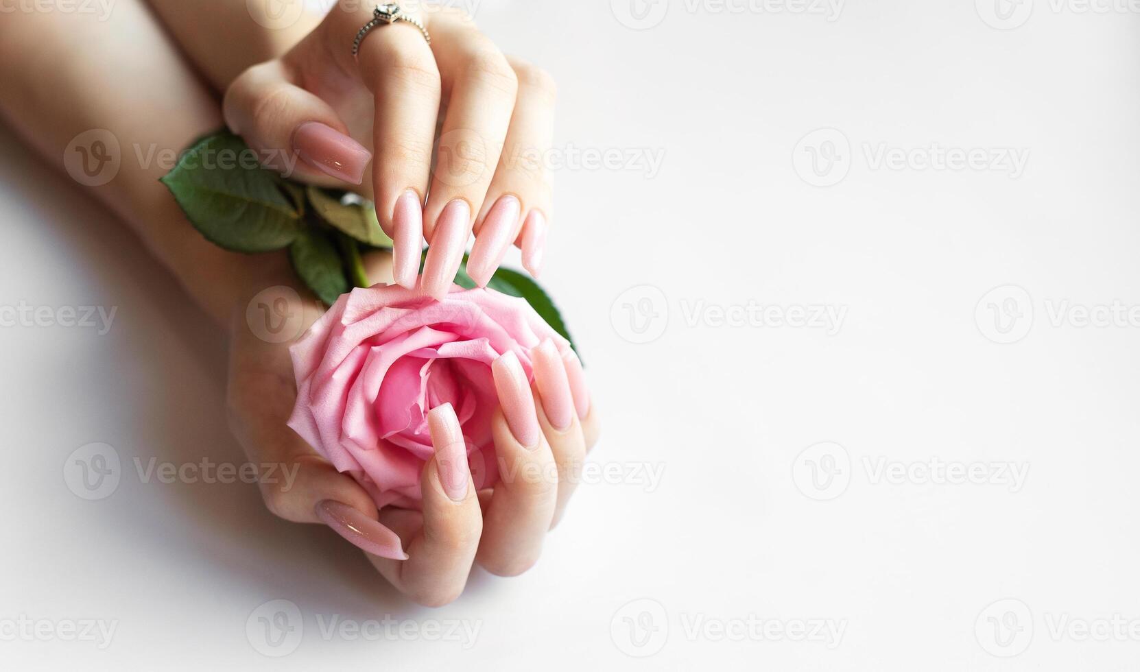 Woman showing pink manicure holding pink rose photo