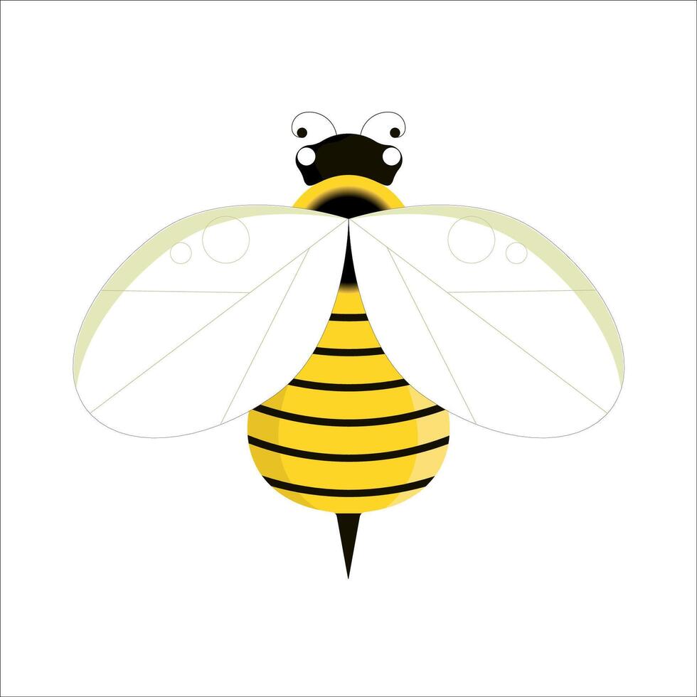 Bee on isolated white background in cartoon style. Bee top view. vector