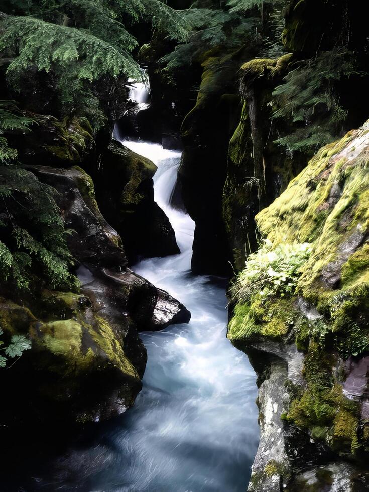 Water, water resources and plant photo