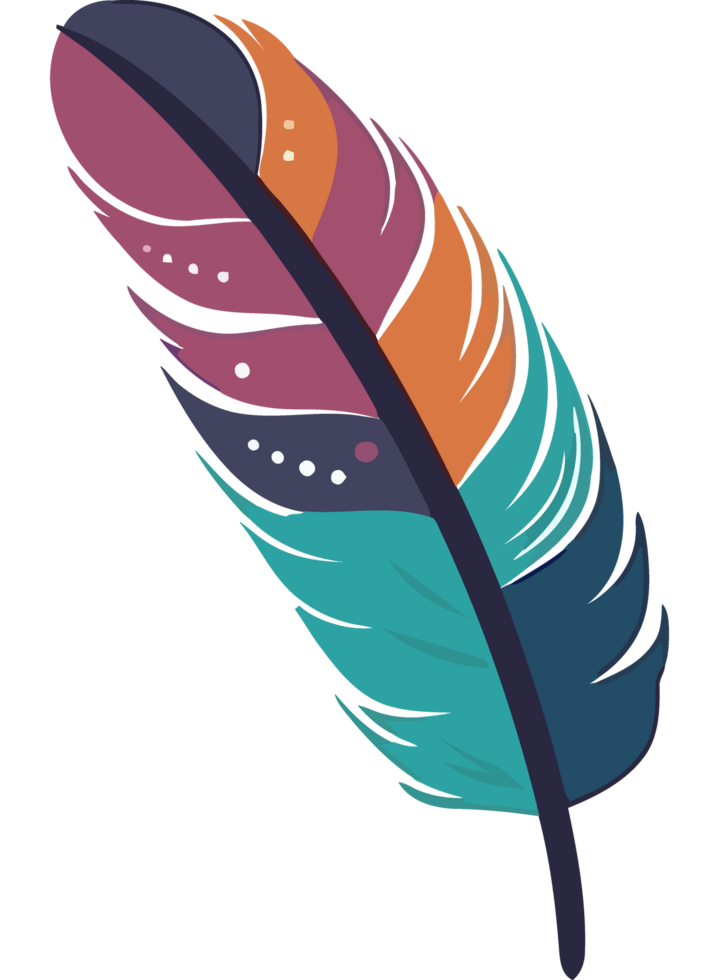 feather icon on a transparent background png