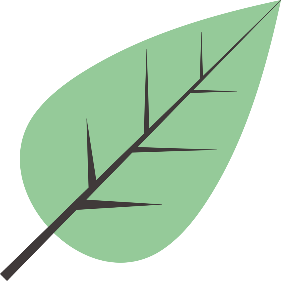 A green leaf icon on a transparent background png