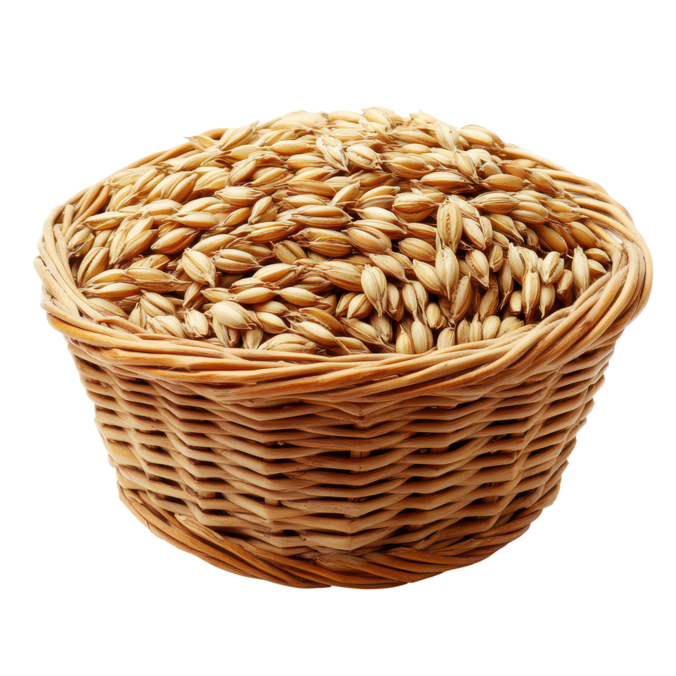 Barley grains piled high in a woven basket against a minimalist transparent background for culinary use, Barley Grains in the basketisolated on transparent background png