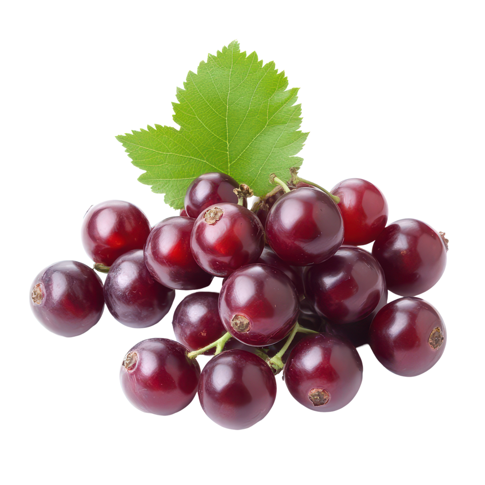 Fresh bengal currants and carandas plums displayed against a clean transparent background with green leaves visible, bengal-currants, carandas-plum,isolated on transparent background png