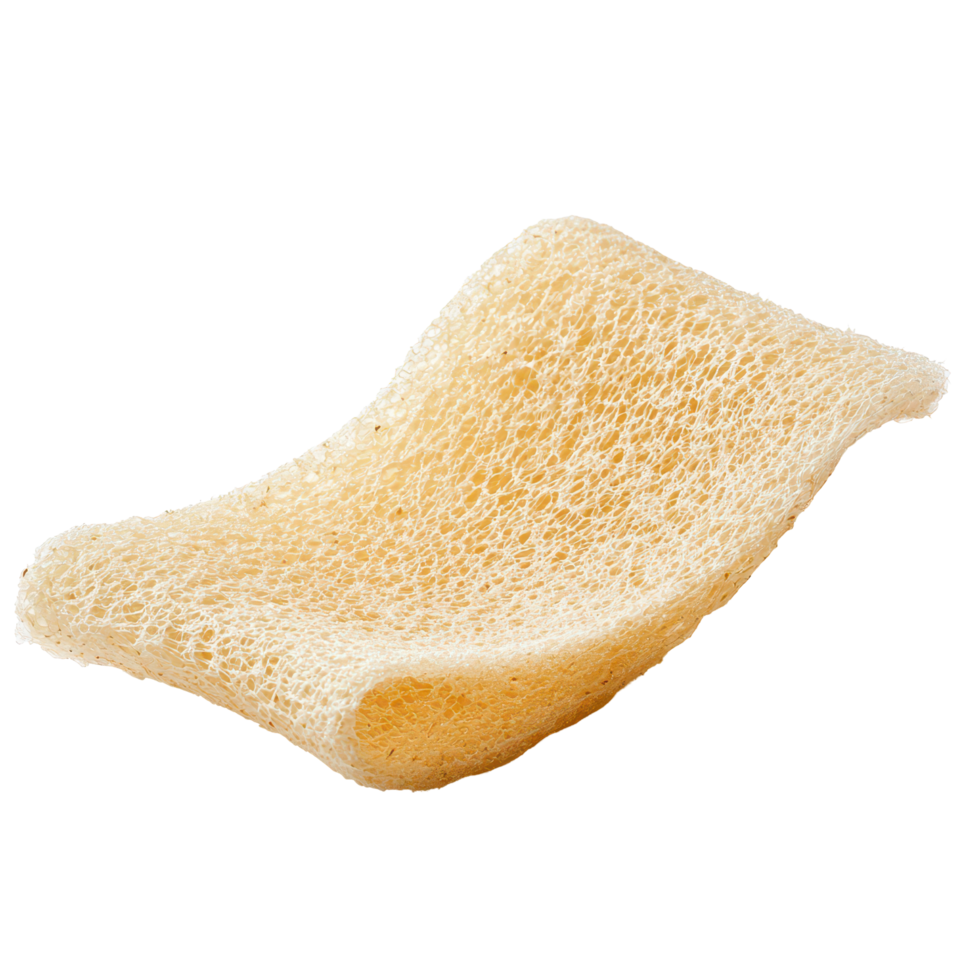 Close-up view of an angled loofah slice isolated against a clean transparent background, Angled loofah slice isolate on transparent background png