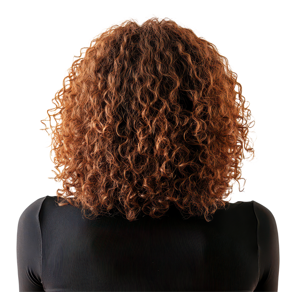 Woman with curly hair sitting on a transparent background, captured from behind in a serene moment of reflection, Back View Woman Sitting with Curly Hair on transparent background png