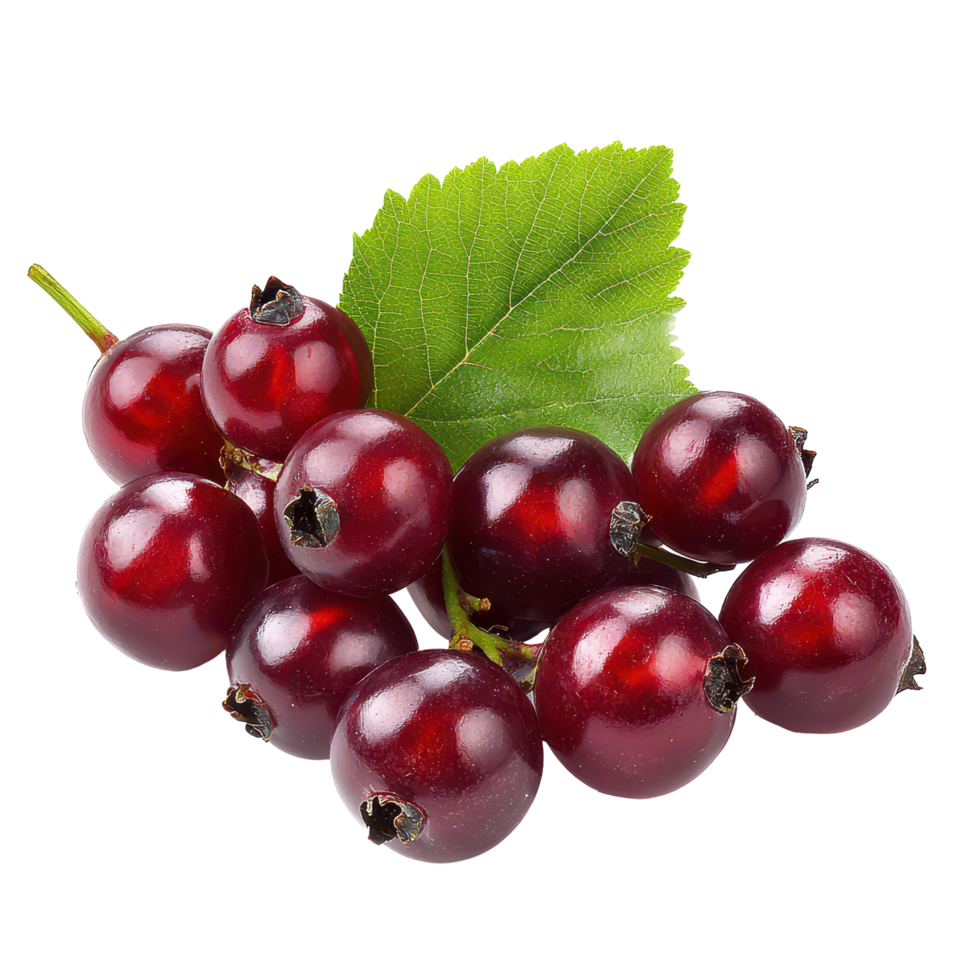 Bengal currants and caranda plums gathered together on a bright transparent background showcasing their natural beauty, bengal-currants, carandas-plum,isolated on transparent background png