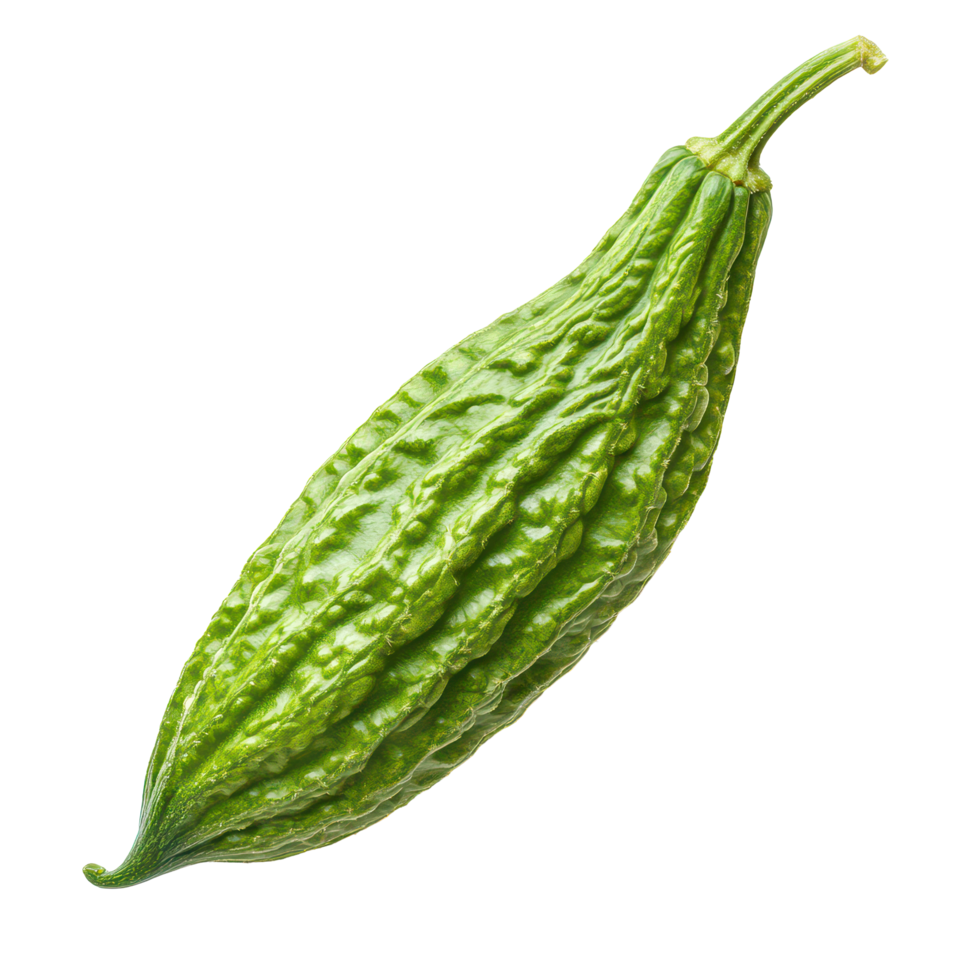 Fresh bitter melon on a clean transparent background highlighting its distinct texture and shape for culinary use, Bitter melon on transparent background png