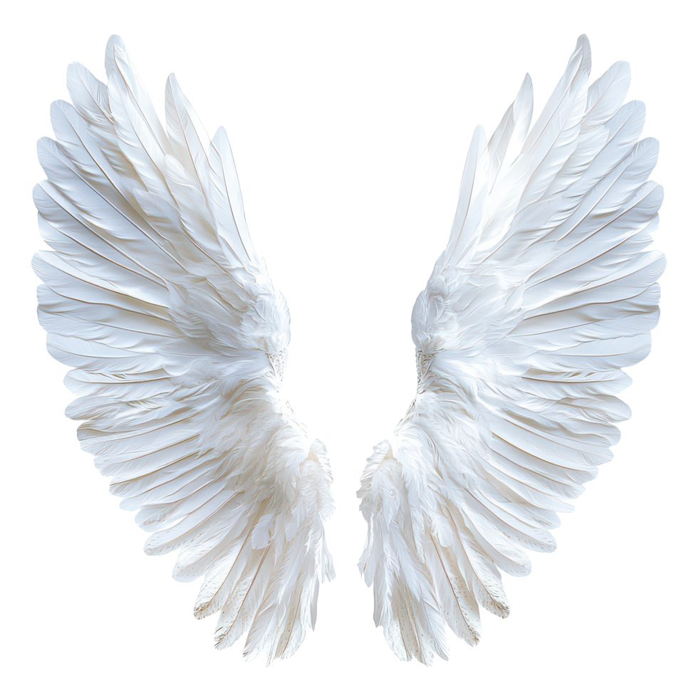 Elegant angel wings with delicate feathers isolated against a transparent background, An angel wings with feathers isolated on transparent background png