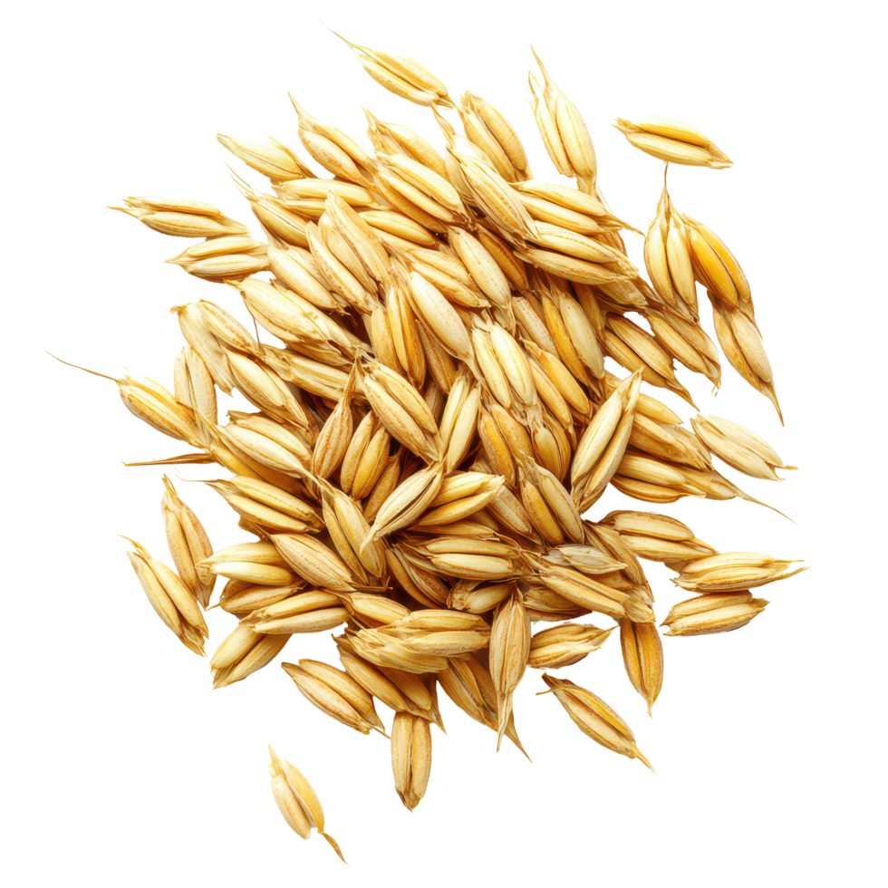 Barley grains in a scoop isolated against a transparent background highlighting their texture and color diversity, Barley Grains tn the scoopisolated on transparent background png