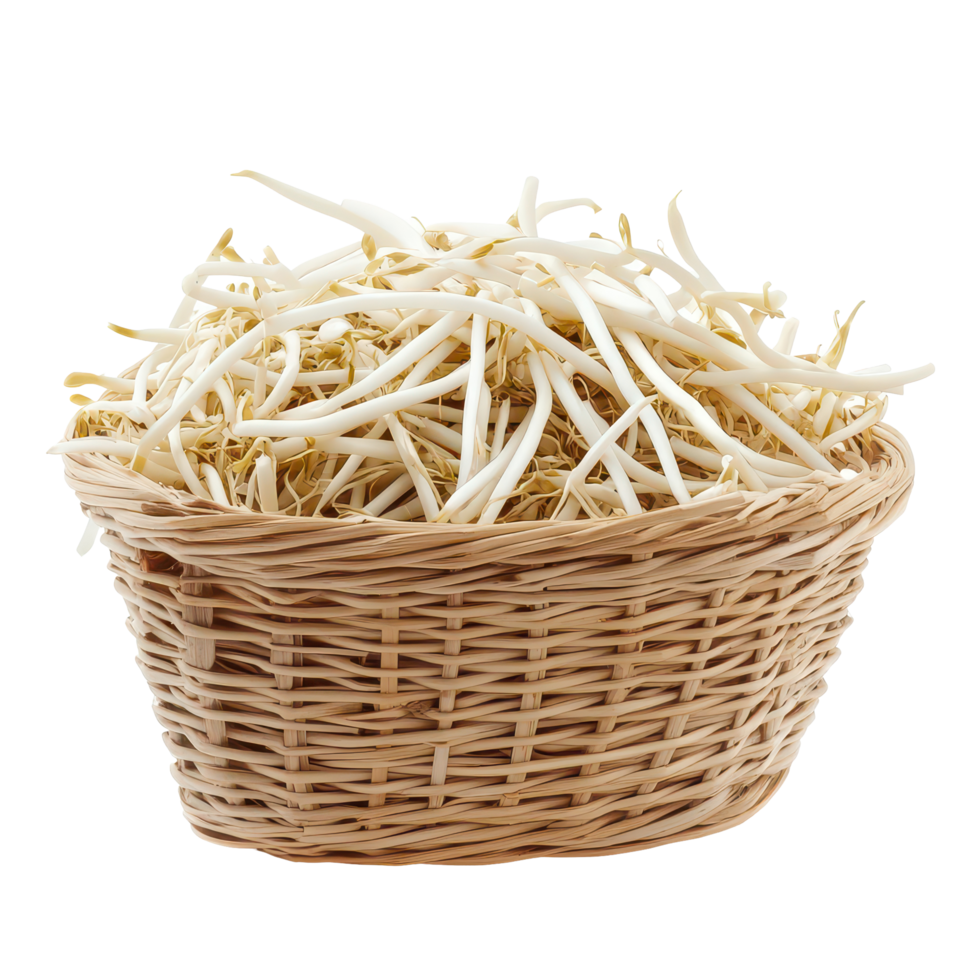 Fresh bean sprouts in a woven basket, isolated against a transparent background for culinary use and presentation, Bean sprouts in basket isolated on transparent background png
