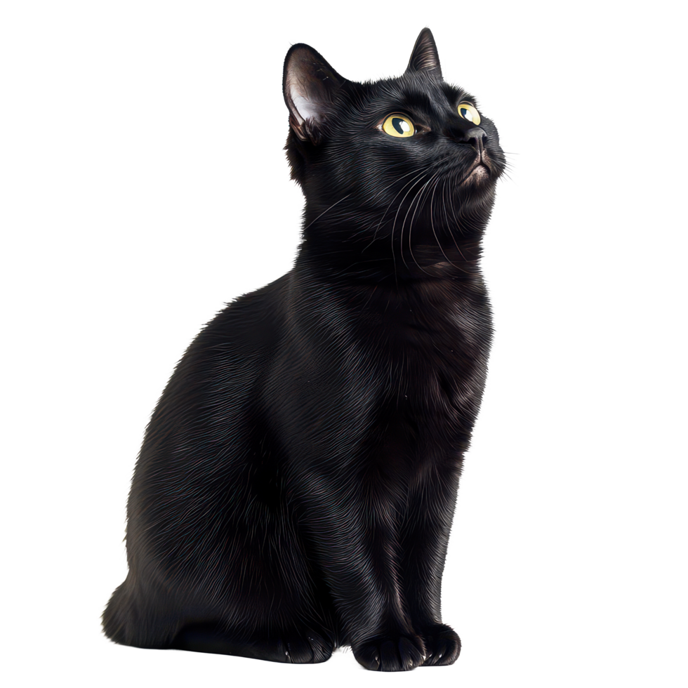 A curious black cat sitting gracefully against a transparent background, capturing attention with its bright green eyes, black cat sitisolated transparent background png