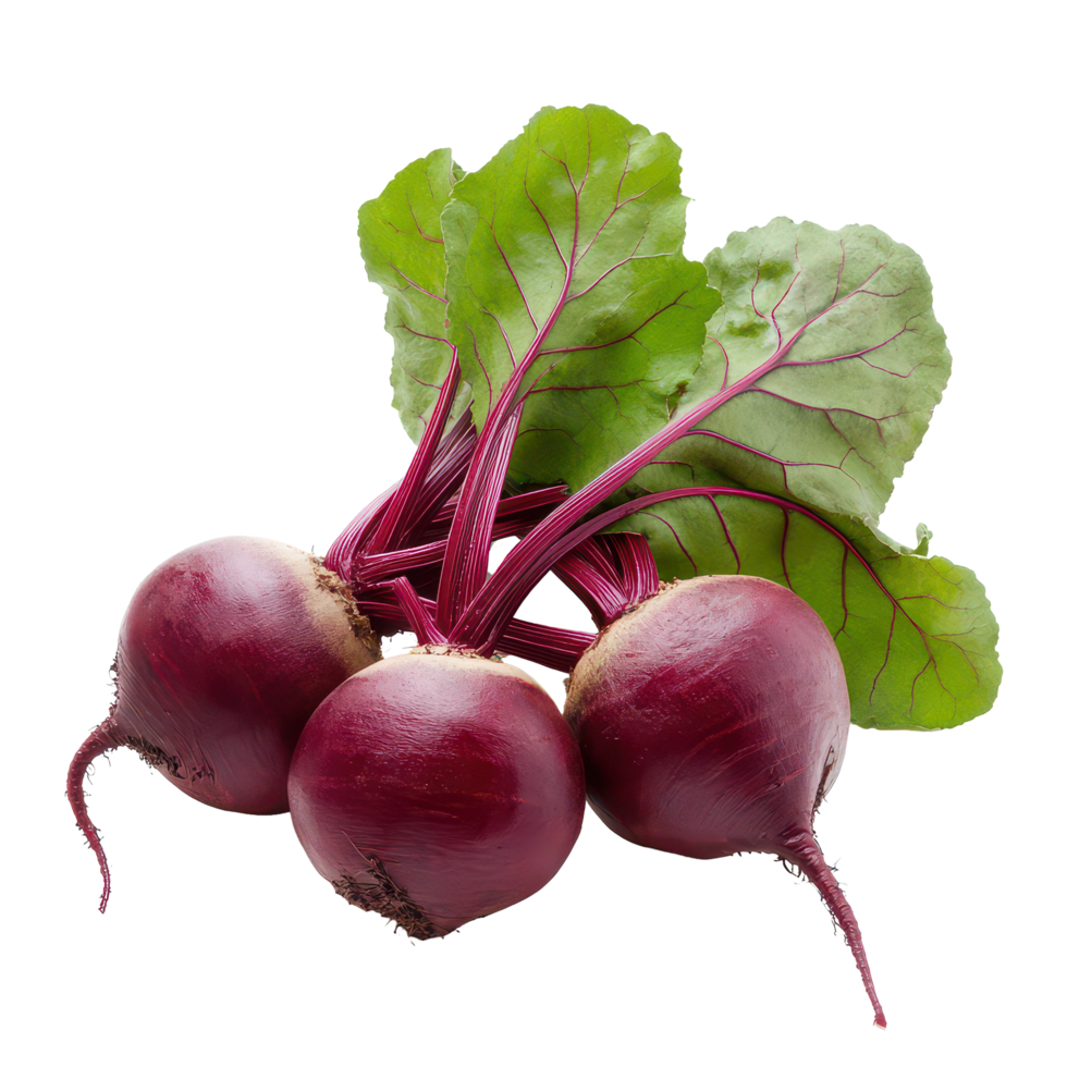 Freshly harvested beetroot vegetables with vibrant green leaves isolated on a clean transparent background, Beetroot vegetables with leaf isolated on transparent background png