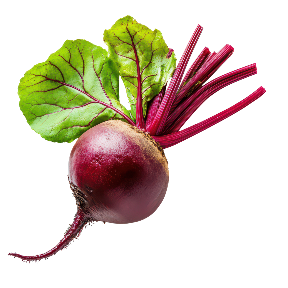 Fresh beetroot with vibrant green leaves isolated on a transparent background for culinary and nutritional use, Beetroot with leaf isolated on transparent background png