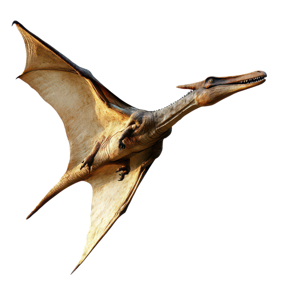 A pterodactyl soaring gracefully against a pristine transparent background, a flying pterodactyl, dinosaur, transparent background. png