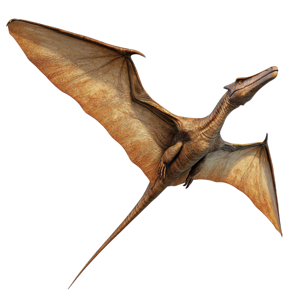 A pterodactyl soaring through the sky with its wings fully extended against a transparent background, a flying pterodactyl, dinosaur, transparent background. png