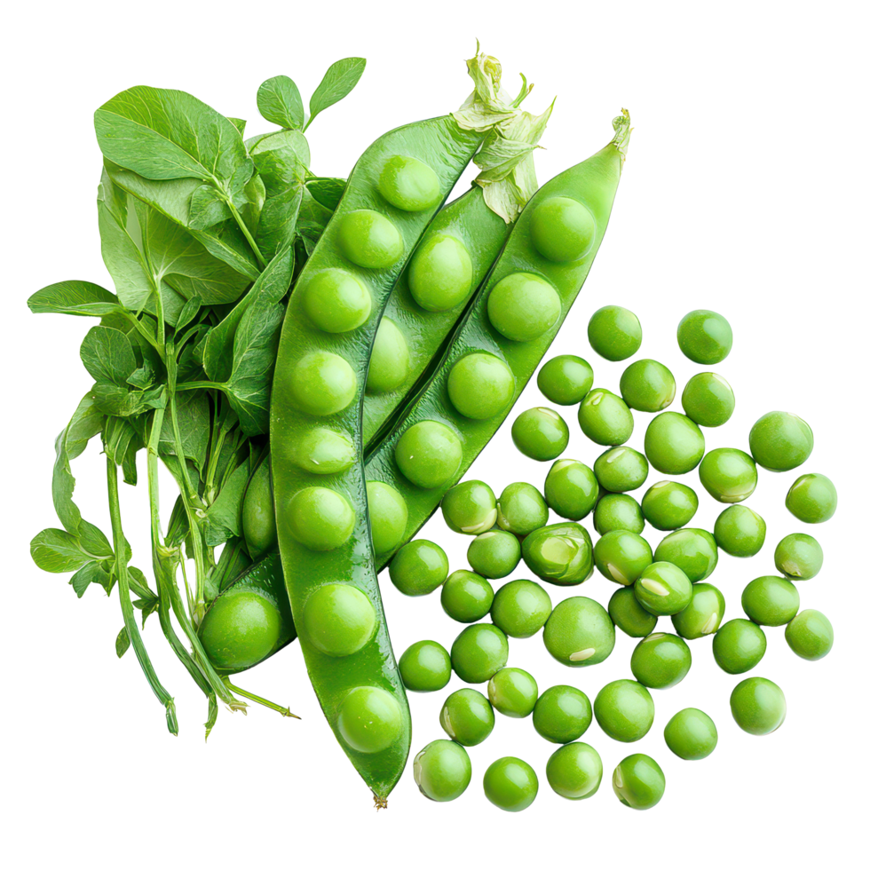 Fresh green peas and pods arranged on a clean transparent background showcasing vibrant produce, A big pile green fresh peas, transparent background. png