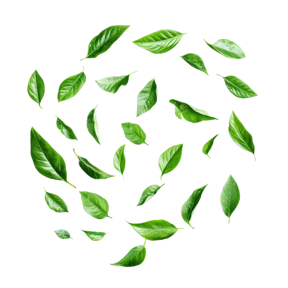 Abstract swirling motion of green leaves isolated on transparent background creating a tranquil and fresh ambiance, abstract green leaves swirling motion isolated transparent background png
