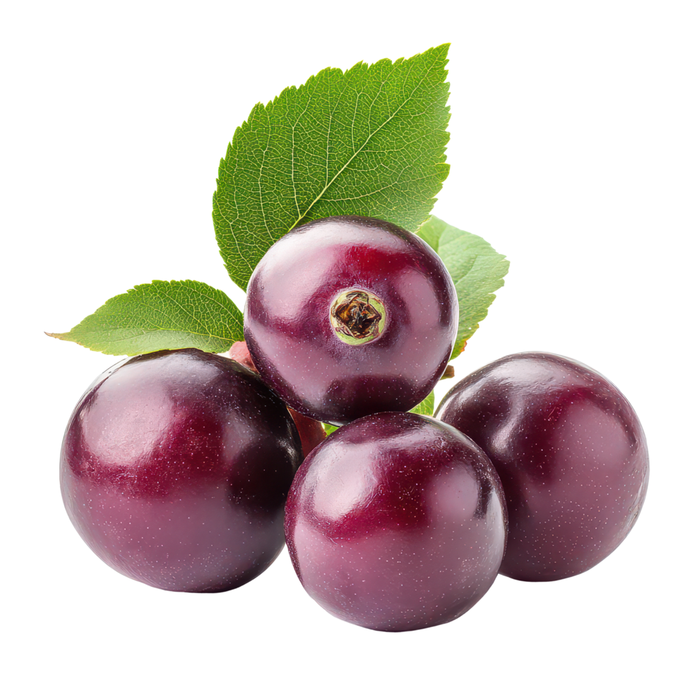 Fresh Bengal currants and carandas plums arranged with leaves on a transparent background, bengal-currants, carandas-plum,isolated on transparent background png