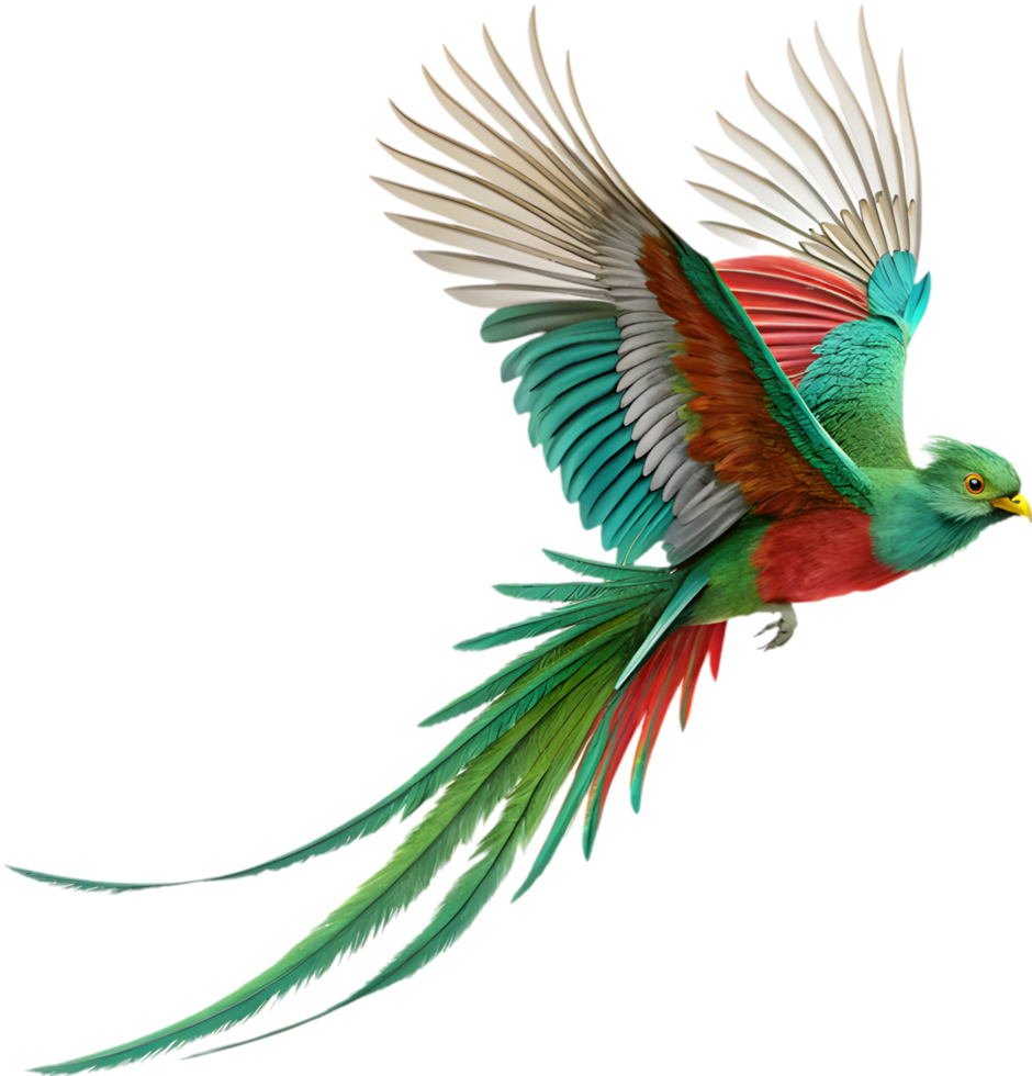Resplendent Quetzal Radiates Majestic Beauty with Brilliant Feathers. . png