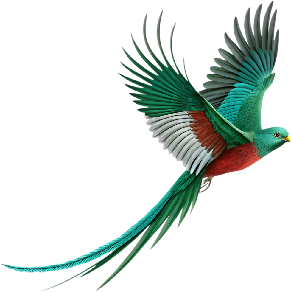 Resplendent Quetzal Shines Brilliantly with Vibrant, Majestic Feathers. . png