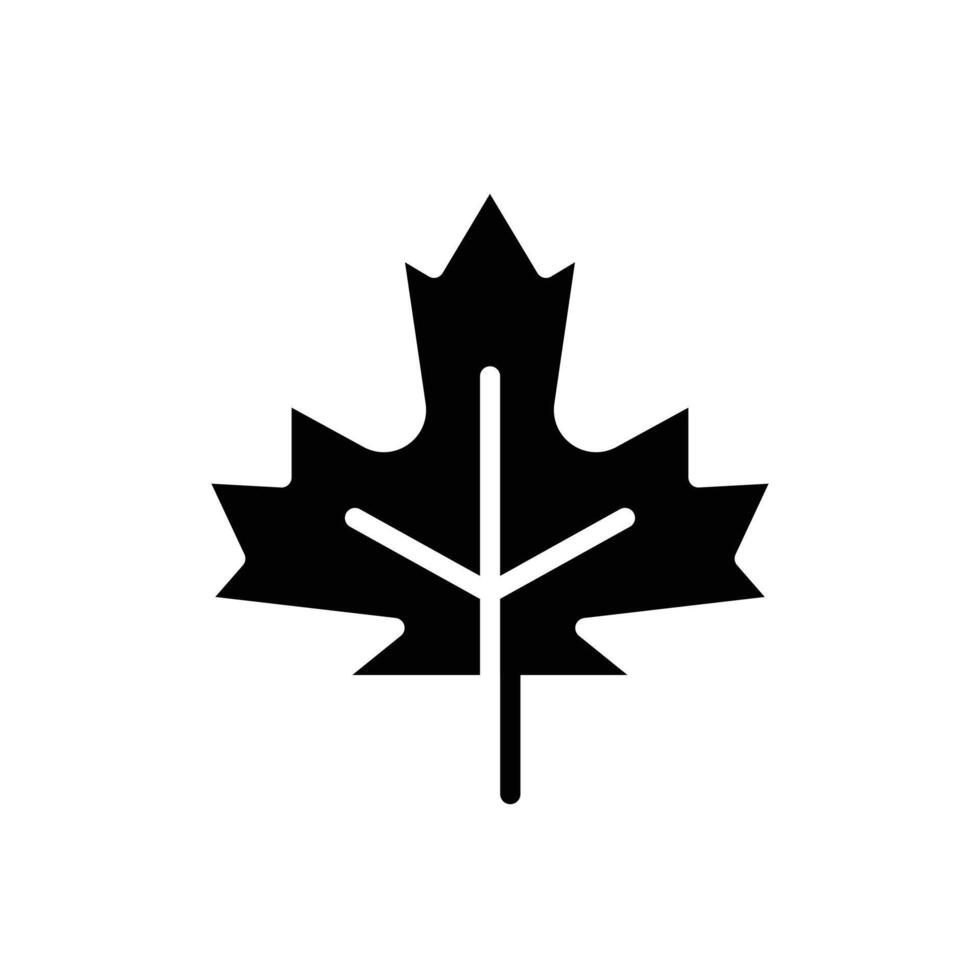Maple leaf icon logo sign set outline vector