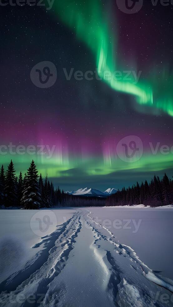 Aurora Borealis Over a Snowy Landscape photo