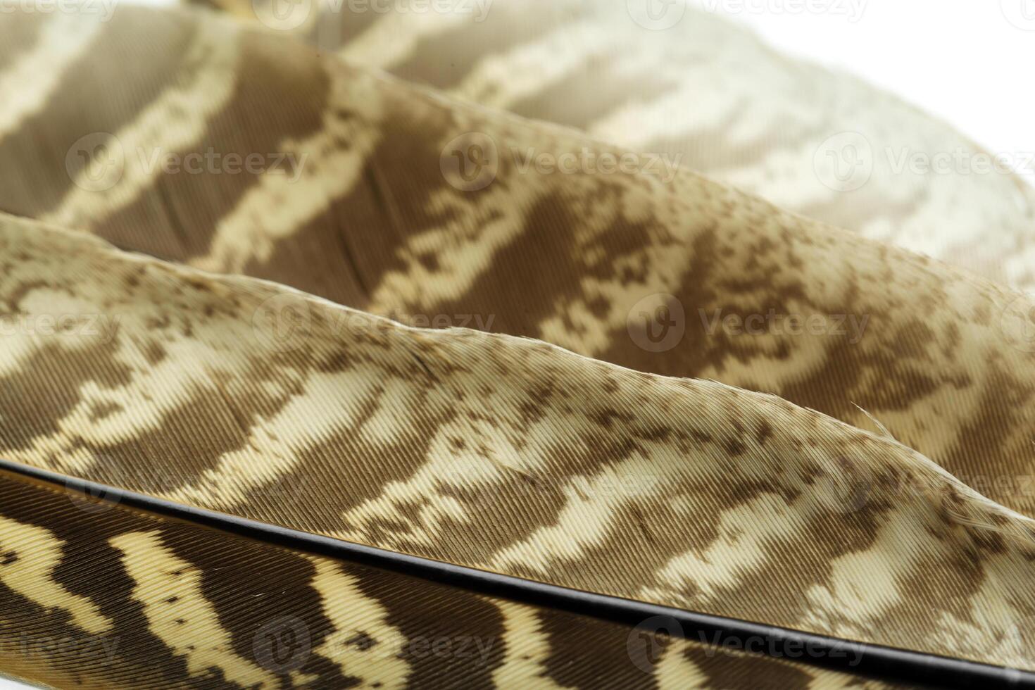 brown feathers background photo