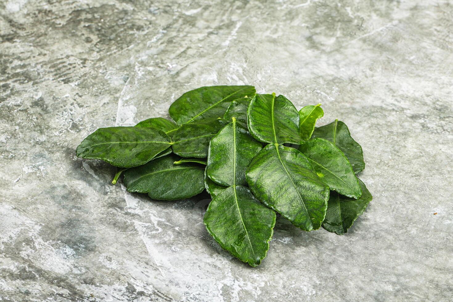 Thai cuisine - Kaffir lime leaves photo