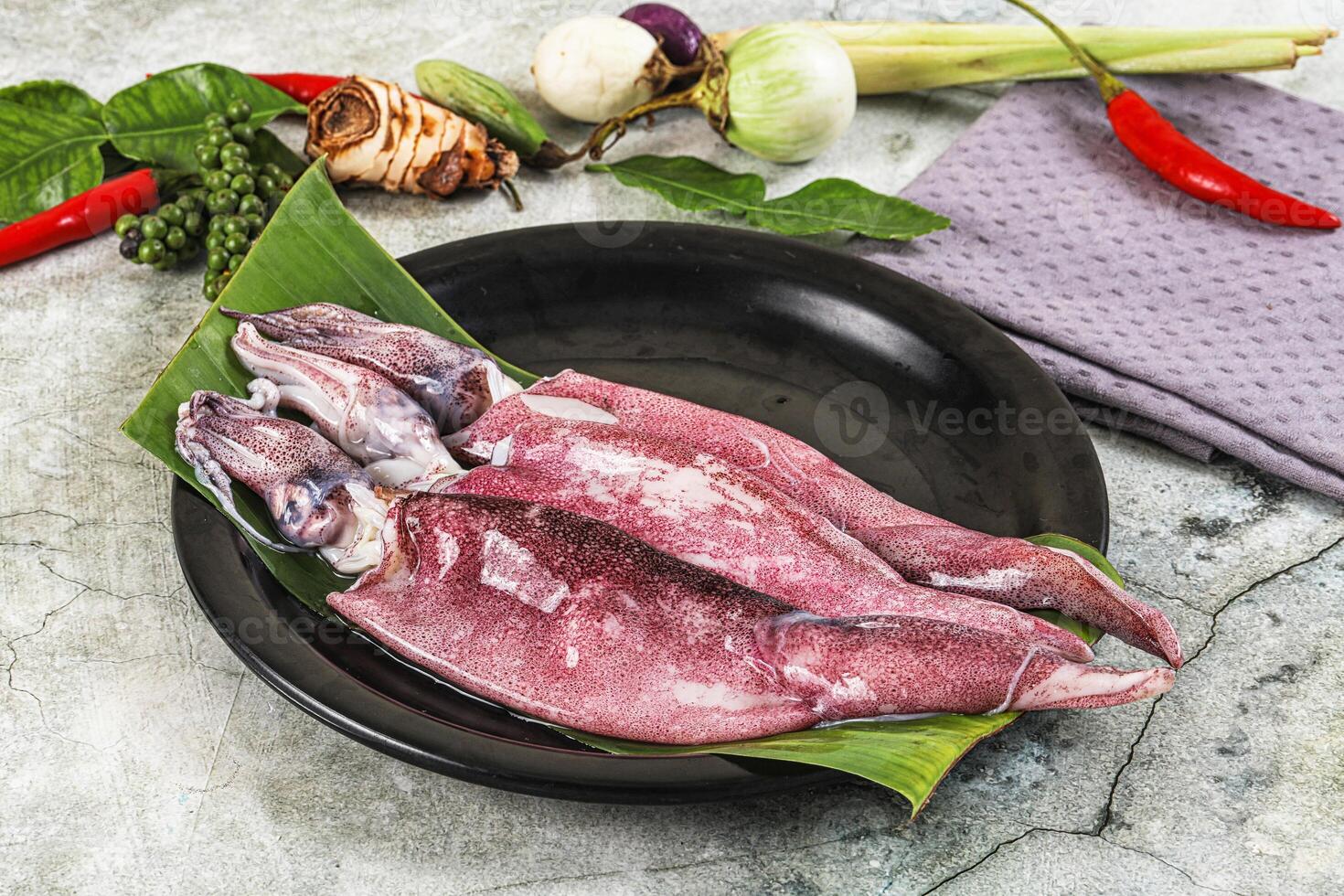 Fresh raw aquid in the plate photo