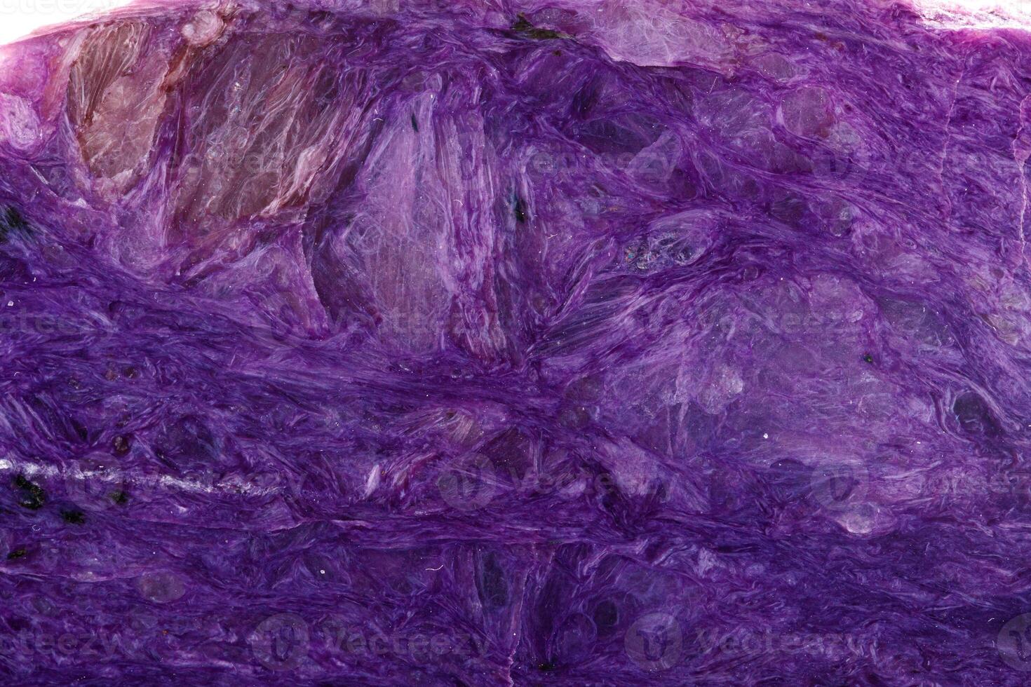 macro mineral stone Charoite on a white background photo