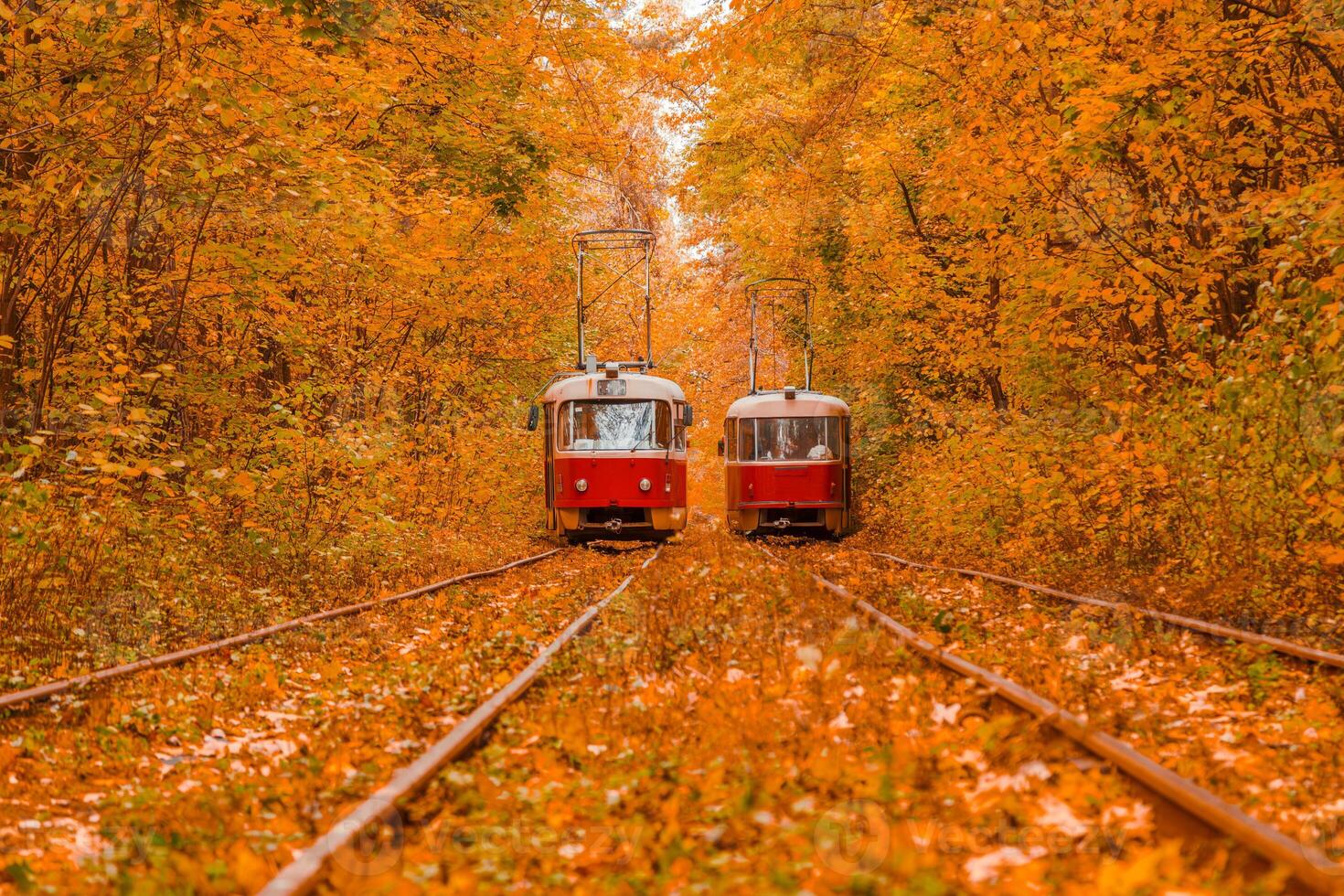 Autumn forest through which the tram travels, Kyiv and rails photo