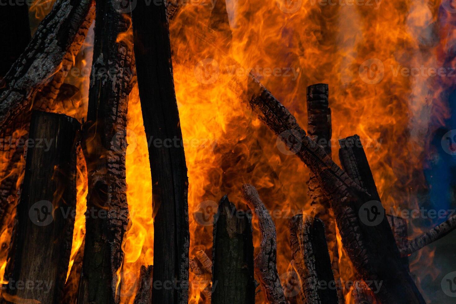 Beautiful fire flames on a campfire photo