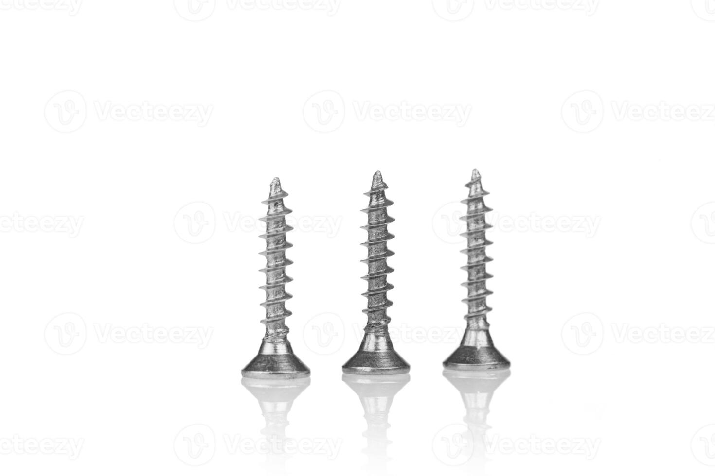 macro screw of silver color on a white background photo