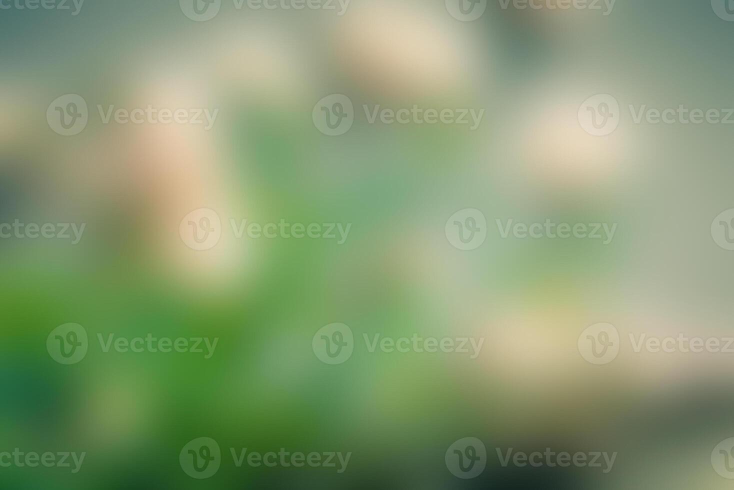 Blurred nature background photo