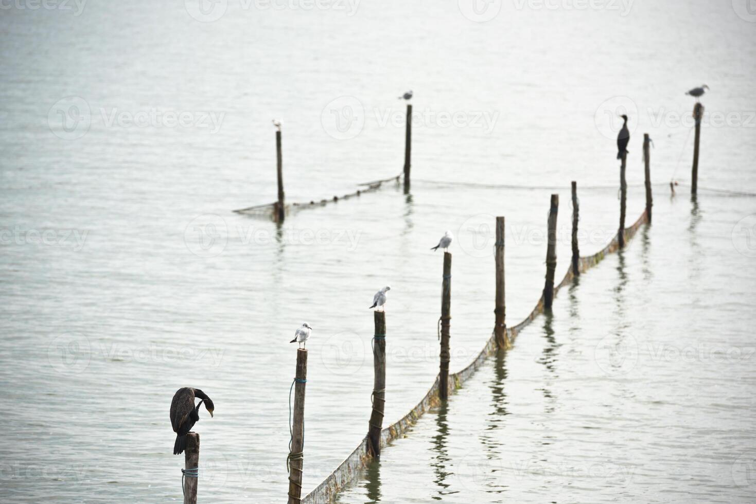 Northern Sea landscape photo