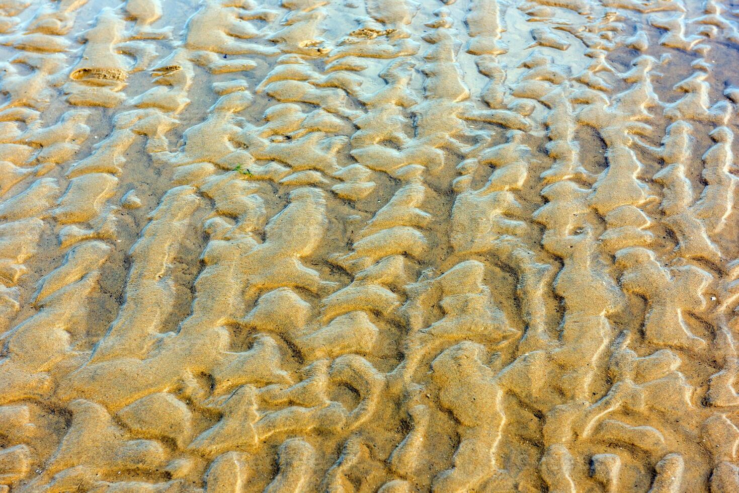 Top view of a sand sea bottom photo