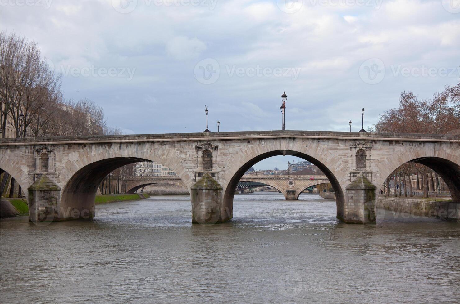Seine River with Bridges photo