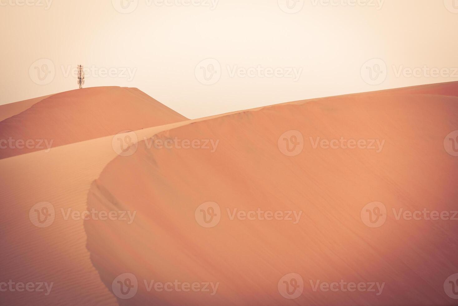 Desert dunes in Liwa, United Arab Emirates photo